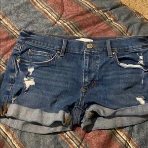 Women’s loft shorts